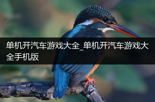 单机开汽车游戏大全_单机开汽车游戏大全手机版