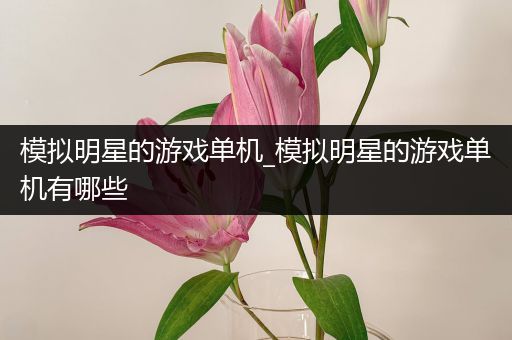 模拟明星的游戏单机_模拟明星的游戏单机有哪些