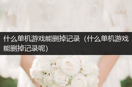 什么单机游戏能删掉记录（什么单机游戏能删掉记录呢）