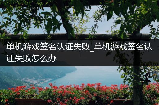 单机游戏签名认证失败_单机游戏签名认证失败怎么办