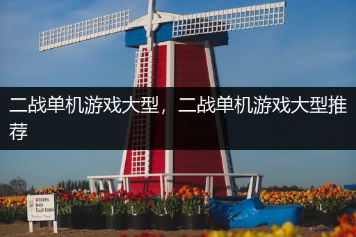 二战单机游戏大型，二战单机游戏大型推荐