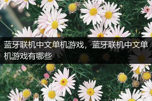 蓝牙联机中文单机游戏，蓝牙联机中文单机游戏有哪些