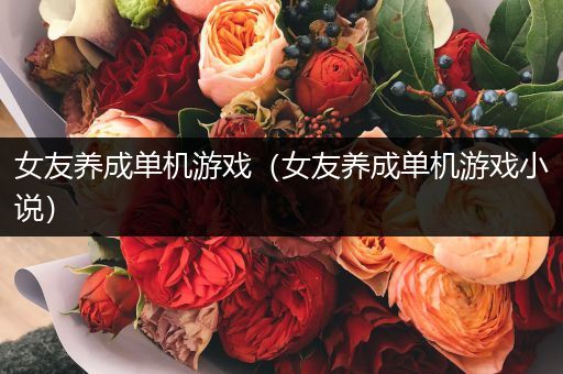 女友养成单机游戏（女友养成单机游戏小说）