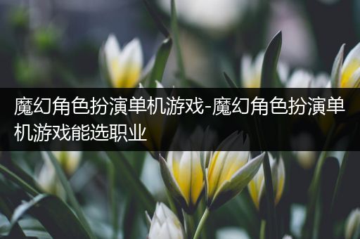 魔幻角色扮演单机游戏-魔幻角色扮演单机游戏能选职业