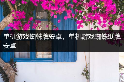 单机游戏蜘蛛牌安卓，单机游戏蜘蛛纸牌安卓