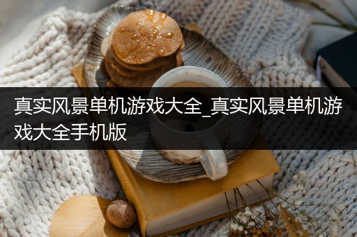 真实风景单机游戏大全_真实风景单机游戏大全手机版