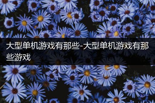 大型单机游戏有那些-大型单机游戏有那些游戏