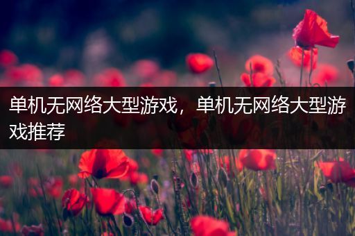 单机无网络大型游戏，单机无网络大型游戏推荐