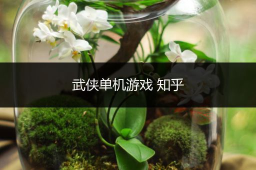 武侠单机游戏 知乎