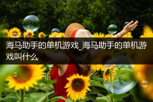 海马助手的单机游戏_海马助手的单机游戏叫什么