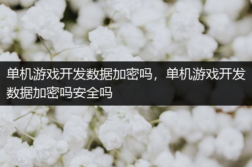 单机游戏开发数据加密吗，单机游戏开发数据加密吗安全吗