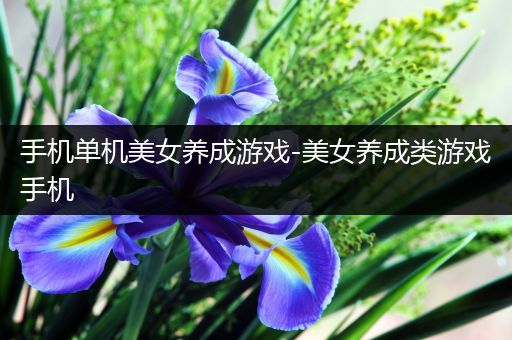手机单机美女养成游戏-美女养成类游戏手机