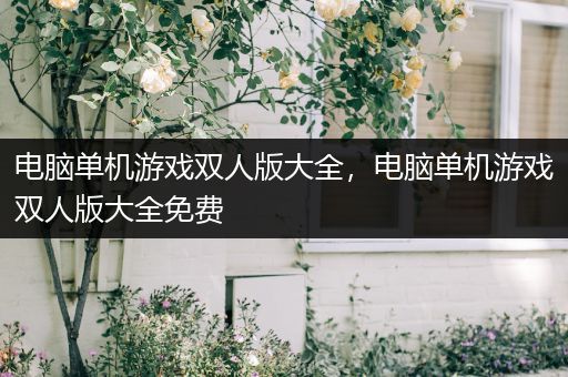 电脑单机游戏双人版大全，电脑单机游戏双人版大全免费