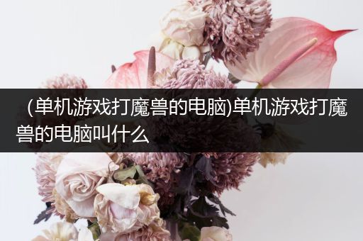 （单机游戏打魔兽的电脑)单机游戏打魔兽的电脑叫什么
