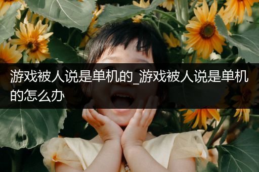 游戏被人说是单机的_游戏被人说是单机的怎么办