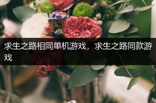 求生之路相同单机游戏，求生之路同款游戏