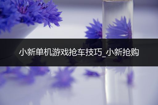 小新单机游戏抢车技巧_小新抢购