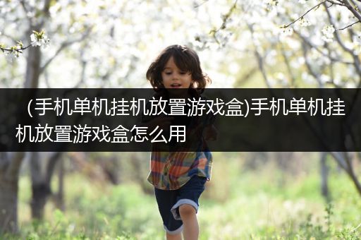 （手机单机挂机放置游戏盒)手机单机挂机放置游戏盒怎么用