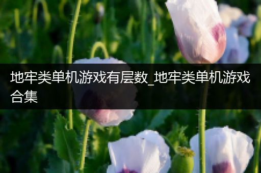 地牢类单机游戏有层数_地牢类单机游戏合集