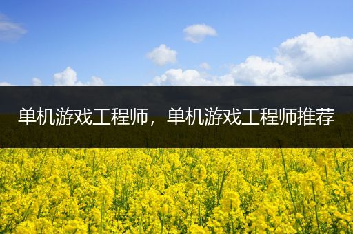 单机游戏工程师，单机游戏工程师推荐