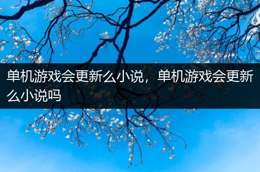 单机游戏会更新么小说，单机游戏会更新么小说吗