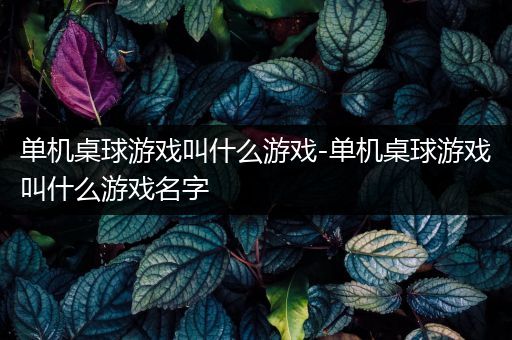 单机桌球游戏叫什么游戏-单机桌球游戏叫什么游戏名字