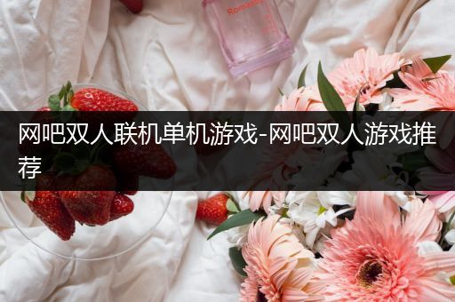 网吧双人联机单机游戏-网吧双人游戏推荐