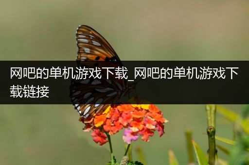 网吧的单机游戏下载_网吧的单机游戏下载链接