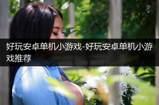 好玩安卓单机小游戏-好玩安卓单机小游戏推荐
