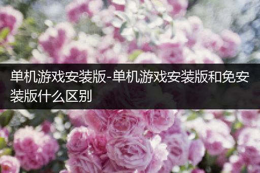 单机游戏安装版-单机游戏安装版和免安装版什么区别