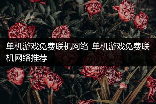 单机游戏免费联机网络_单机游戏免费联机网络推荐