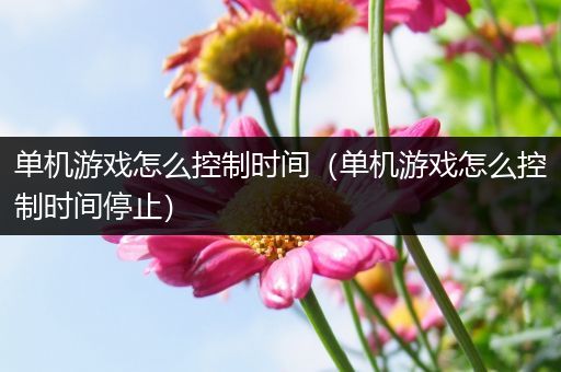 单机游戏怎么控制时间（单机游戏怎么控制时间停止）
