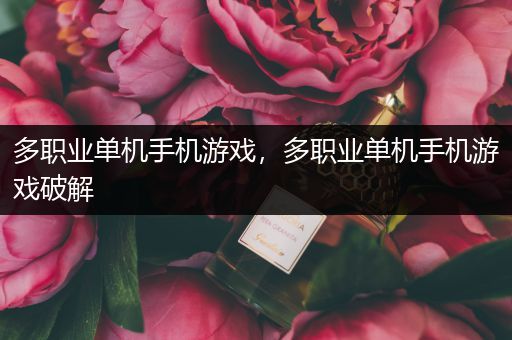 多职业单机手机游戏，多职业单机手机游戏破解