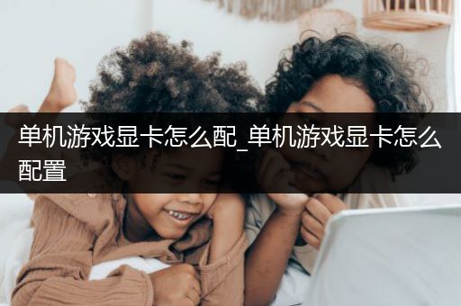 单机游戏显卡怎么配_单机游戏显卡怎么配置