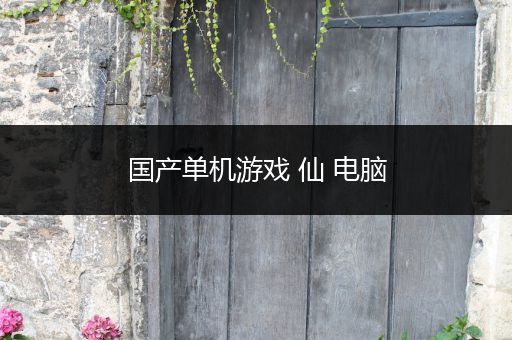 国产单机游戏 仙 电脑