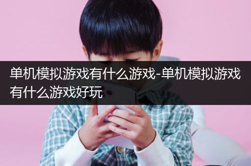 单机模拟游戏有什么游戏-单机模拟游戏有什么游戏好玩