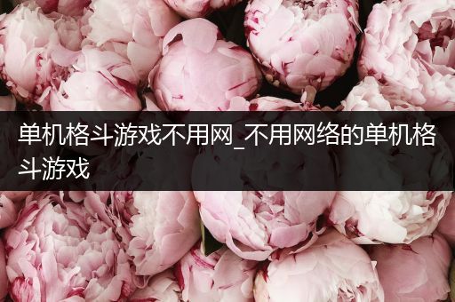 单机格斗游戏不用网_不用网络的单机格斗游戏