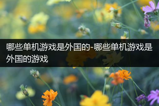 哪些单机游戏是外国的-哪些单机游戏是外国的游戏
