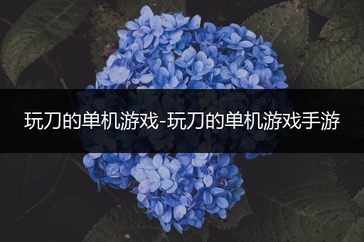 玩刀的单机游戏-玩刀的单机游戏手游