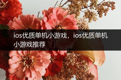 ios优质单机小游戏，ios优质单机小游戏推荐