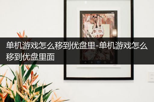 单机游戏怎么移到优盘里-单机游戏怎么移到优盘里面