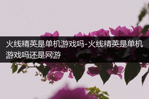 火线精英是单机游戏吗-火线精英是单机游戏吗还是网游