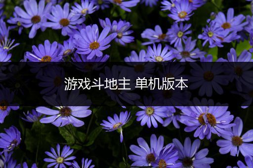 游戏斗地主 单机版本