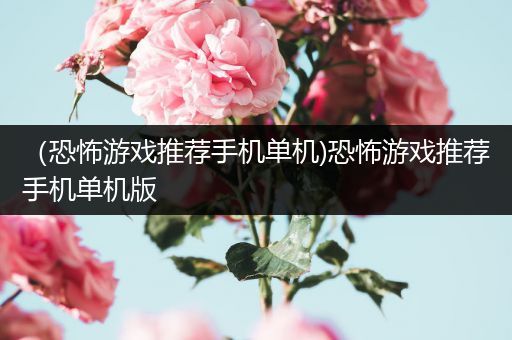 （恐怖游戏推荐手机单机)恐怖游戏推荐手机单机版