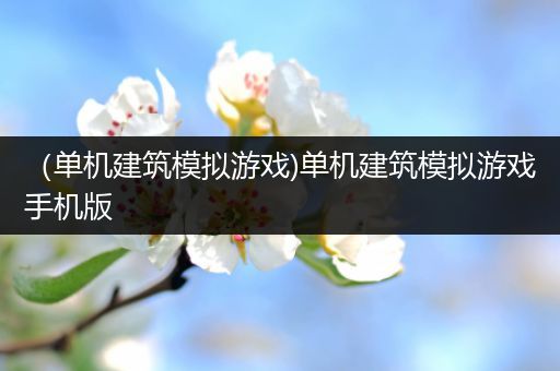 （单机建筑模拟游戏)单机建筑模拟游戏手机版