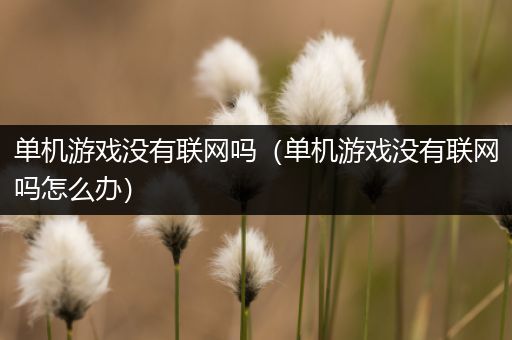 单机游戏没有联网吗（单机游戏没有联网吗怎么办）