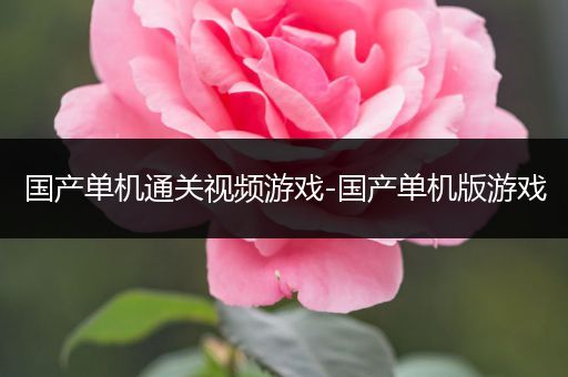 国产单机通关视频游戏-国产单机版游戏