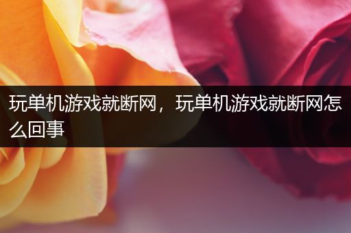 玩单机游戏就断网，玩单机游戏就断网怎么回事