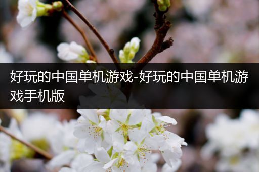 好玩的中国单机游戏-好玩的中国单机游戏手机版