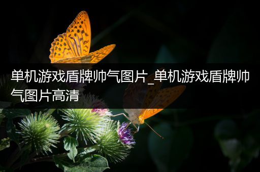 单机游戏盾牌帅气图片_单机游戏盾牌帅气图片高清